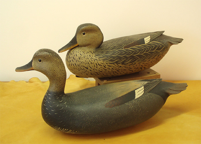 A Pair of Gadwall Gunners by Bob White