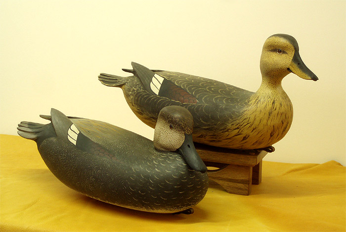 A Pair of Gadwall Gunners by Bob White