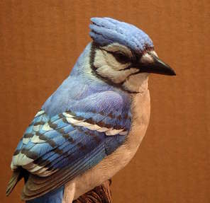 Lifesize BlueJay Decorative  - carving by Bob Guge