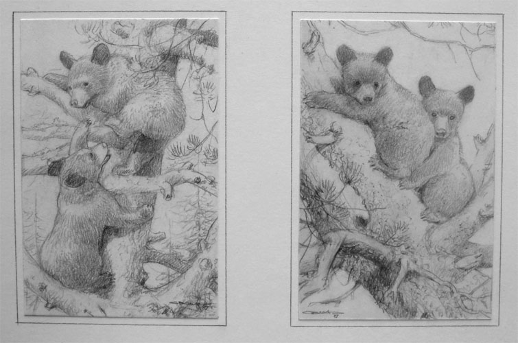 High Adventure - pencil drawing by Carl Brenders