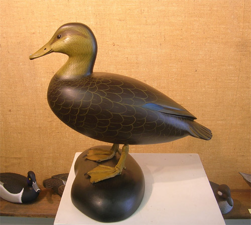 Life-sized Standing Black Duck by Clarence Fennimore