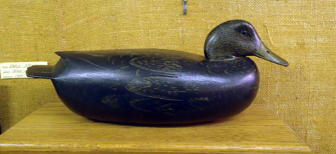 Drake  Black Duck carved by Dan English