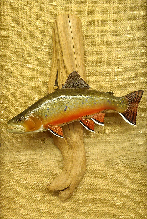 Brook Trout  -  by Fred Kinne