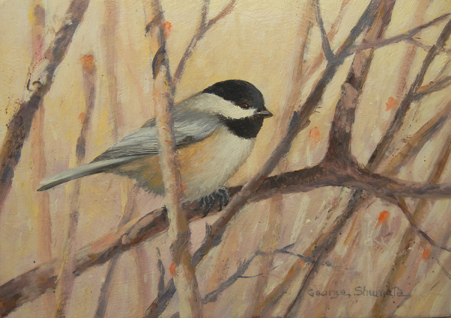 Chickadee - by George Shumate