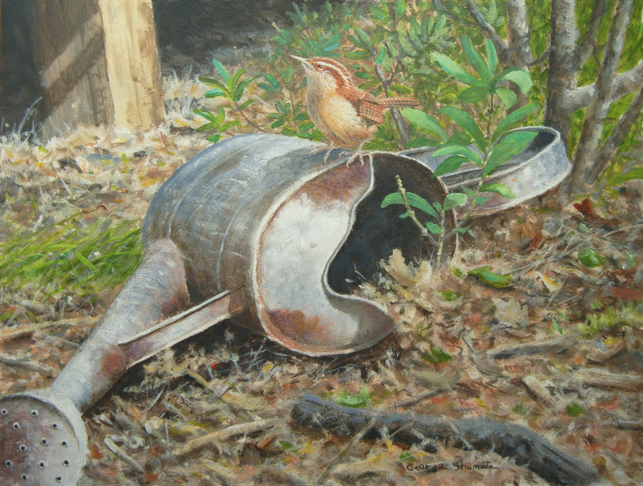 Carolina Wren - by George Shumate