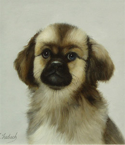Scruffy by Gerald Lubeck