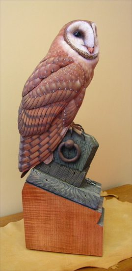Greg Pedersen Barn Owl - Left View