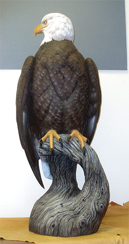 Life sized Eagle - carved by Greg Pedersen