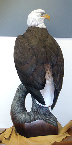 Life sized Eagle - carved by Greg Pedersen