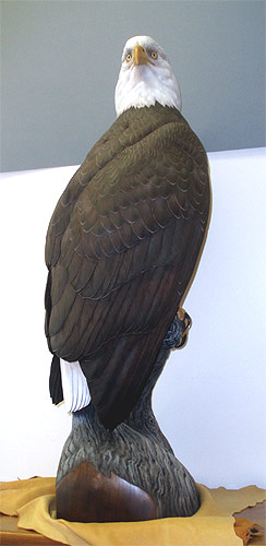 Life sized Eagle - carved by Greg Pedersen