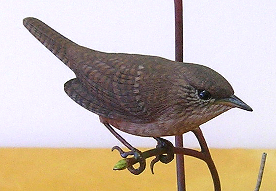 House Wrens by Greg Pedersen