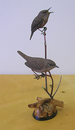 House Wrens by Greg Pedersen