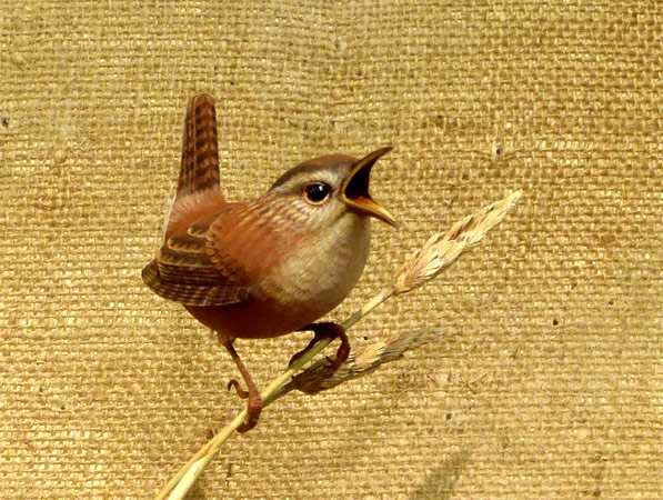 Marsh Wren - carved by Greg Pedersen