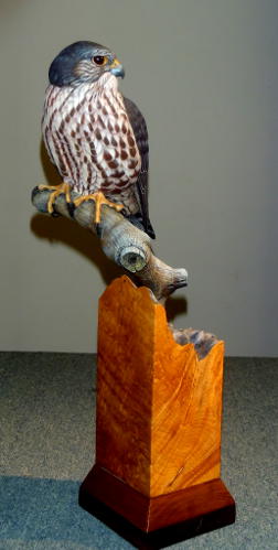 Merlin  - carved by Greg Pedersen