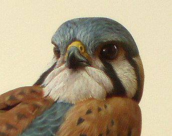 Kestrel Carving by Greg Pedersen