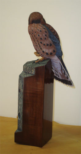 Greg Pedersen Kestrel - back view