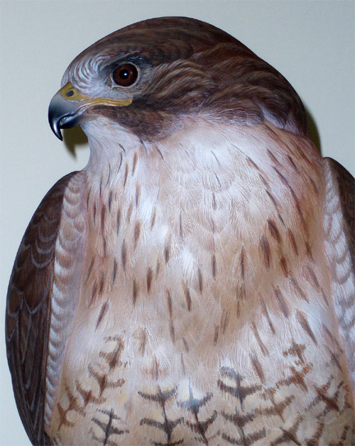 Kestrel Carving by Greg Pedersen