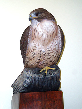 Greg Pedersen Red Tail Hawk
