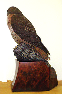 Greg Pedersen Red Tail Hawk