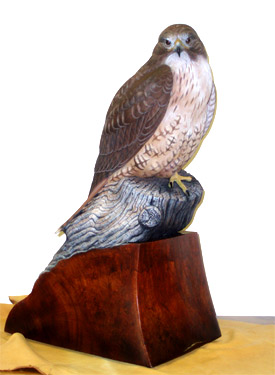 Greg Pedersen Red Tail Hawk right side