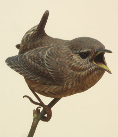 Wren Carving Detail - by Greg Pedersen