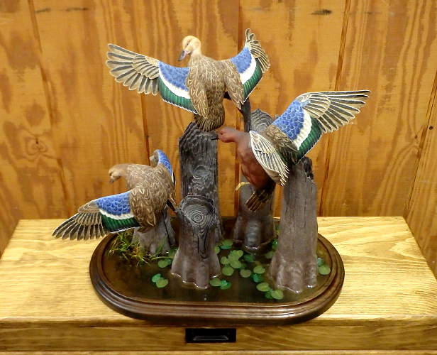 3 Cinnamon Teal Flying  - carved by Harvey Wilsonj