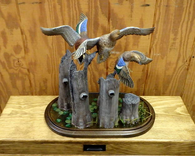 3 Cinnamon Teal Flying  - carved by Harvey Wilsonj