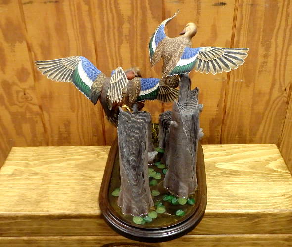 3 Cinnamon Teal Flying  - carved by Harvey Wilsonj