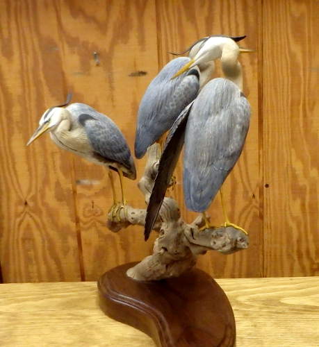 Great Blue Heron Trio - 1/4 size  - carved by Harvey Wilsonj