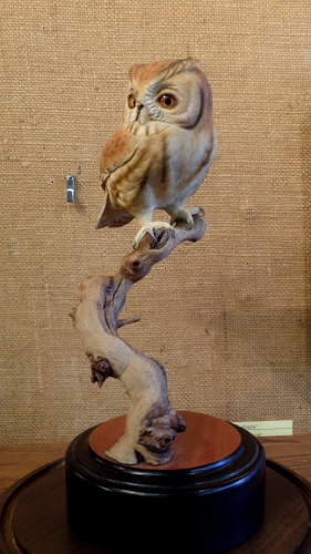 Screech Owl - 3/4 size  - carved by Harvey Wilsonj