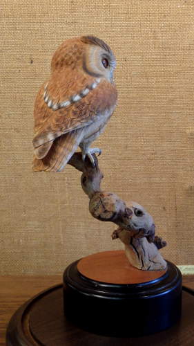 Screech Owl - 3/4 size  - carved by Harvey Wilsonj