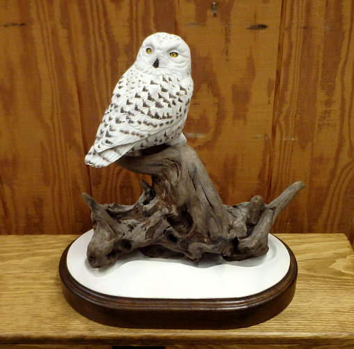 Snowy Owl - 1/2 size  - carved by Harvey Wilsonj