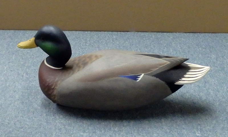 Mallard Drake Decoy -  Carved by John "Jack" Wood                       John "Jack" Wood