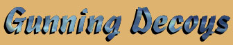 Gunning Decoys at Decoys & Wildlife Gallery
                  in Frenchtown, NJ 08825
