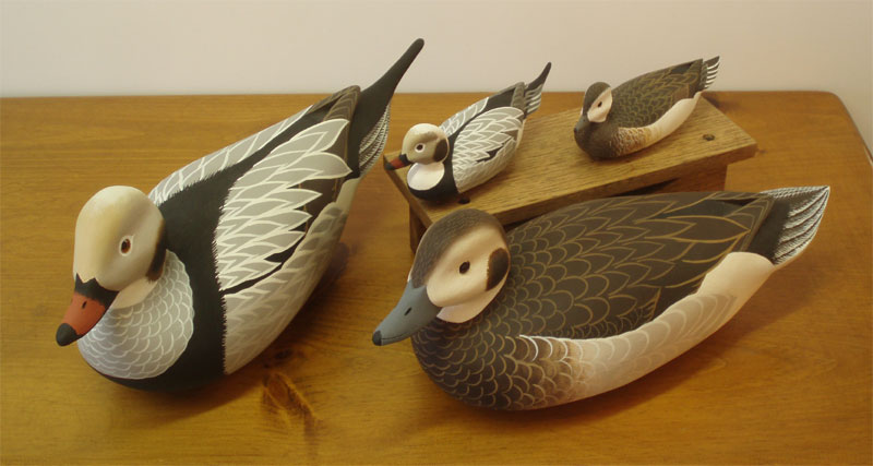 Long-Tailed Ducks - Life Size and Minisl -
by John "Jack" Wood