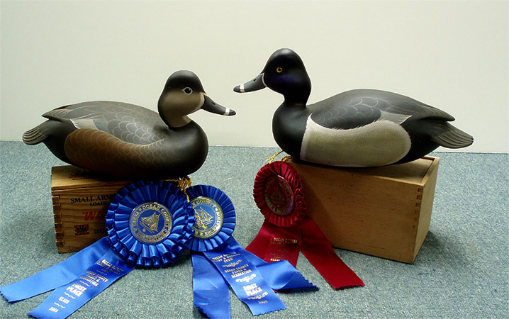 A Ringnecks - Best of Show - by
John "Jack" Wood