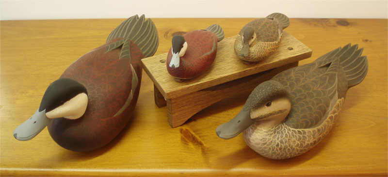 Ruddy Ducks - Life Size and
Minisl - by John "Jack" Wood