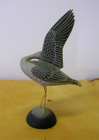 Preening Yellowlegs by James Lapham