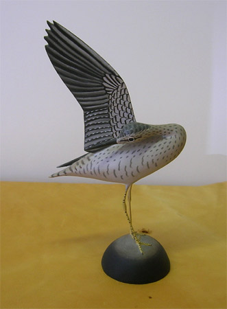 Preening Yellowlegs by James Lapham