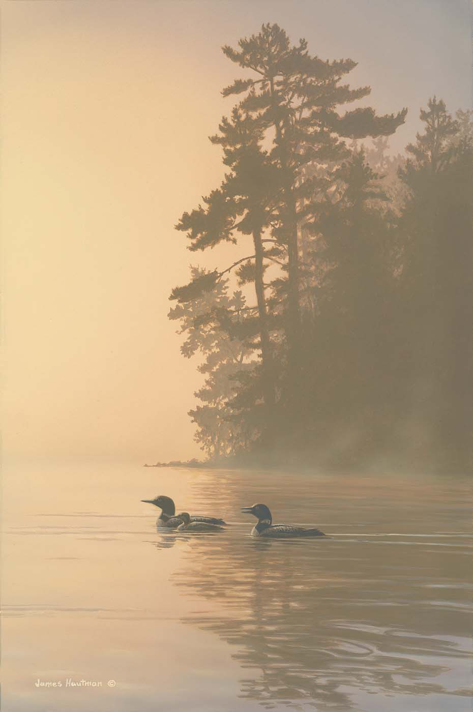 Solitude Loons  by Jim Hautman