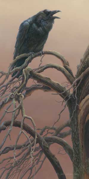 "Long Distance Call" - Raven - by Joni Johnson Godsy