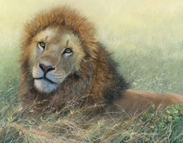 Lounging Lion - by Joni Johnson Godsy