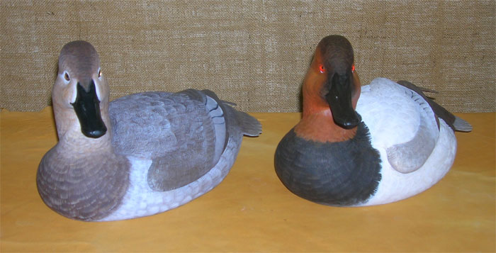 Decorative Canvasback Carvings  by Ken Scheeler