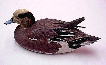 Drake Wigeon by Ken Scheeler