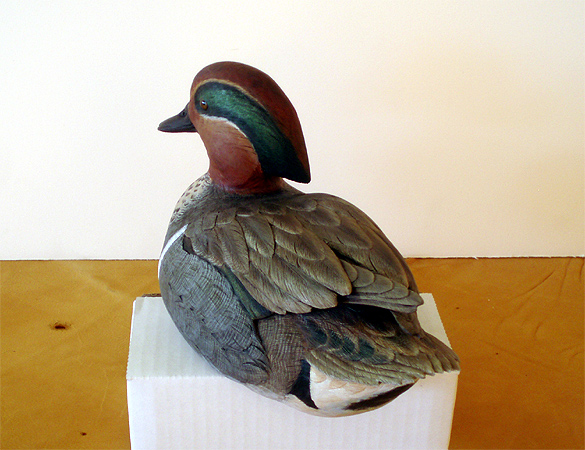 Drake Green Wing Teal - by Ken Scheeler