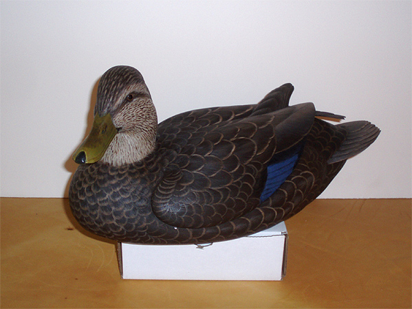 Hen Black Duck - by Ken Scheeler