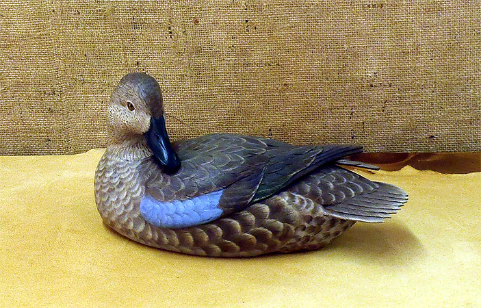 Hen Blue Wing Decoy carving - by Ken Scheeler