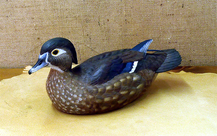 Hen Wood Duck carving - by Ken Scheeler