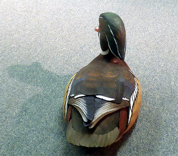 Wood Duck Decoy carving - by Ken Scheeler