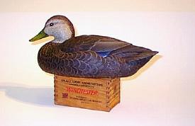 Drake Black Duck carved by Ken Scheeler